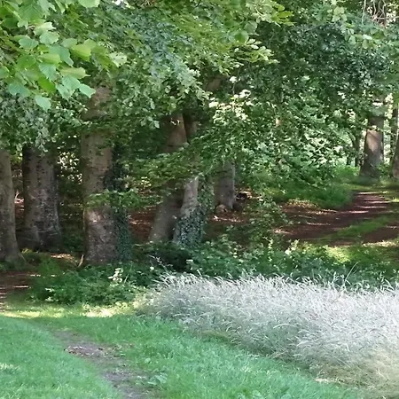 Veselin - 100m From The Sea By Interhome