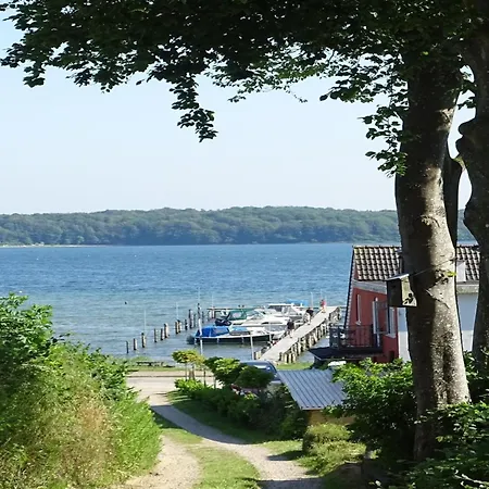 Veselin - 100m From The Sea By Interhome