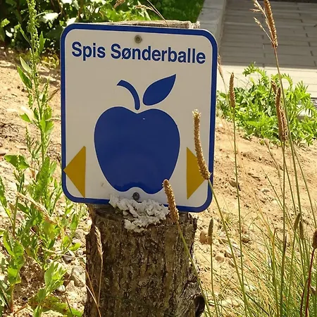 Veselin - 100m From The Sea By Interhome * Rødekro