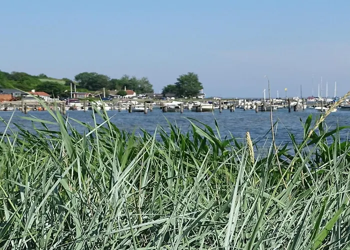 Veselin - 100m From The Sea By Interhome Semesterbostad *